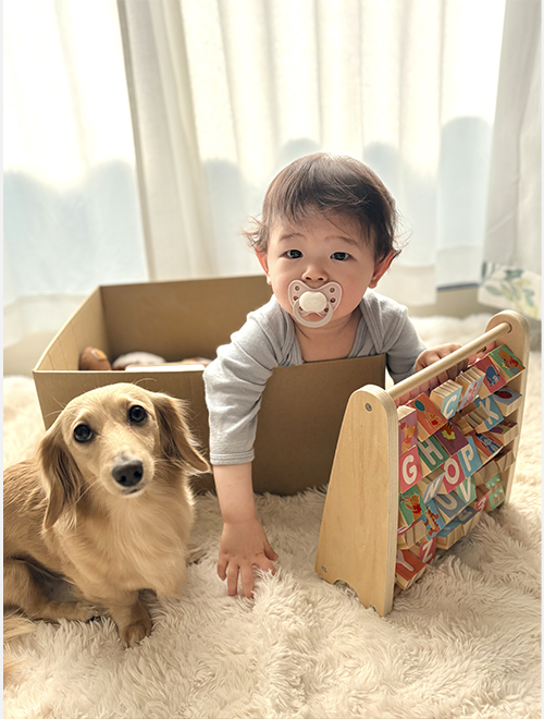 ダンボールで遊ぶ息子とわんこ