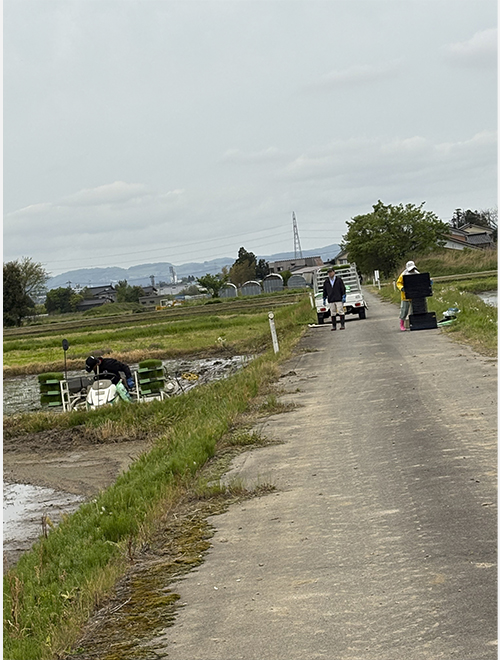毎年、田植えして夏が来たなー