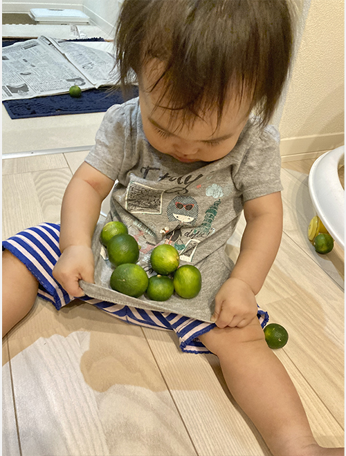 すだち、いっぱいちゅかまえた